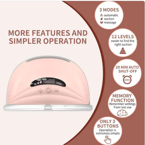 Auto Smart Dual Electric Pump